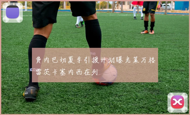 费内巴切夏季引援计划曝光莱万格雷茨卡塞内西在列